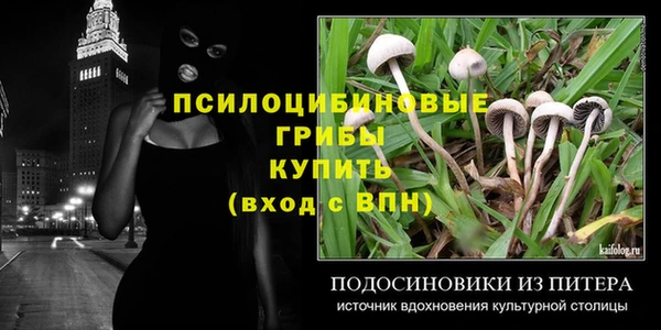 соль ск Балахна