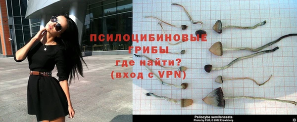 индика Покачи